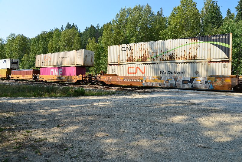 DSC_7964.JPG