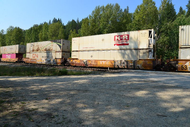DSC_7965.JPG