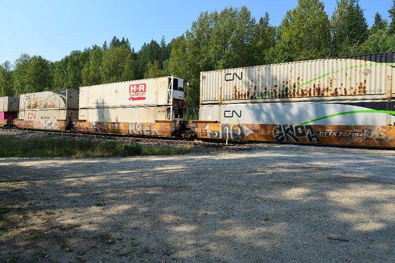 DSC_7966.JPG