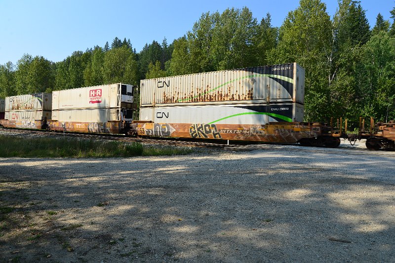 DSC_7967.JPG