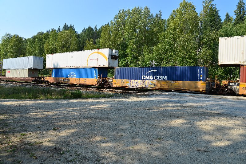 DSC_7977.JPG