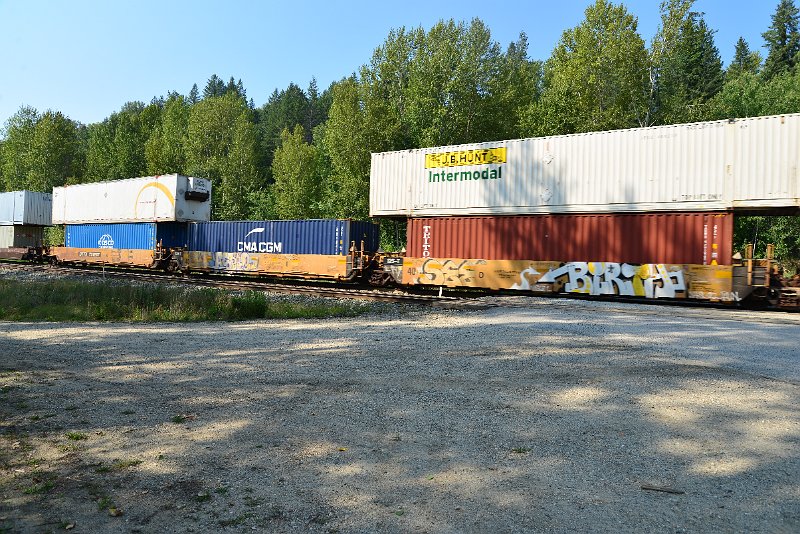 DSC_7978.JPG