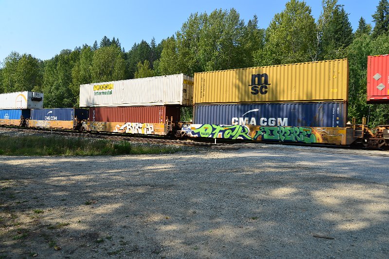 DSC_7979.JPG