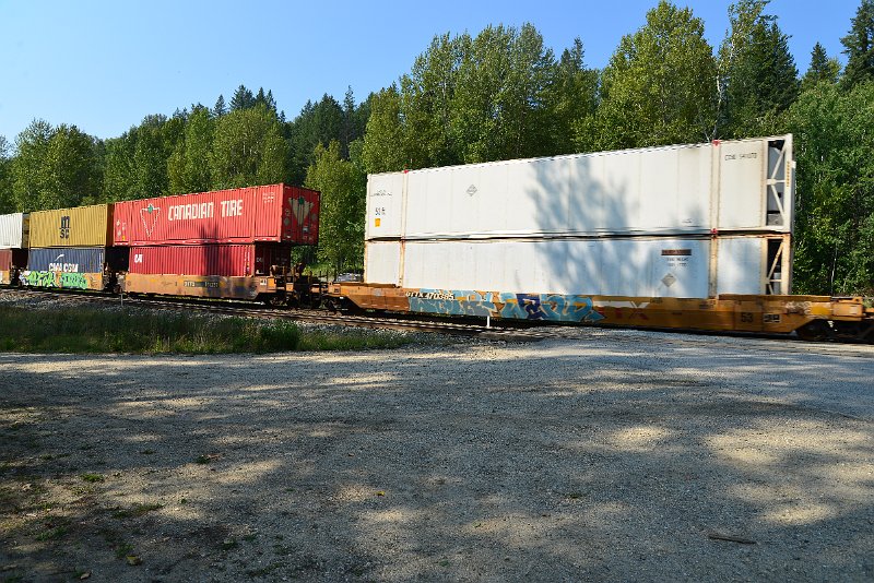DSC_7981.JPG