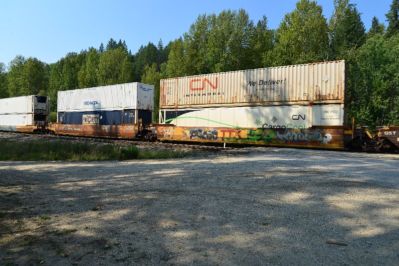 DSC_7983.JPG
