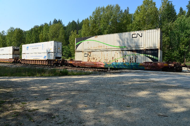 DSC_7986.JPG