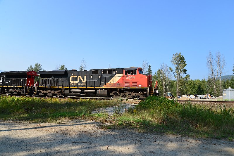 DSC_7993.JPG