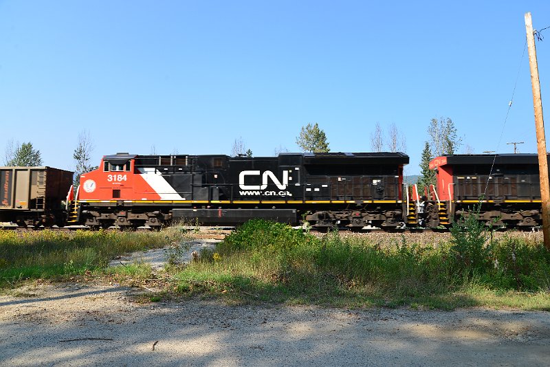 DSC_7994.JPG