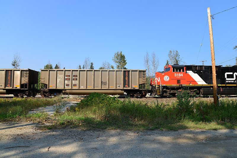DSC_7995.JPG