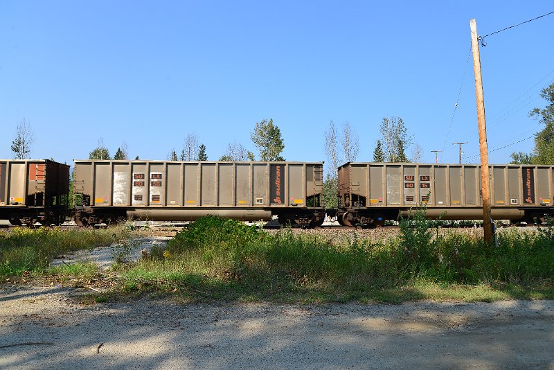 DSC_7996.JPG
