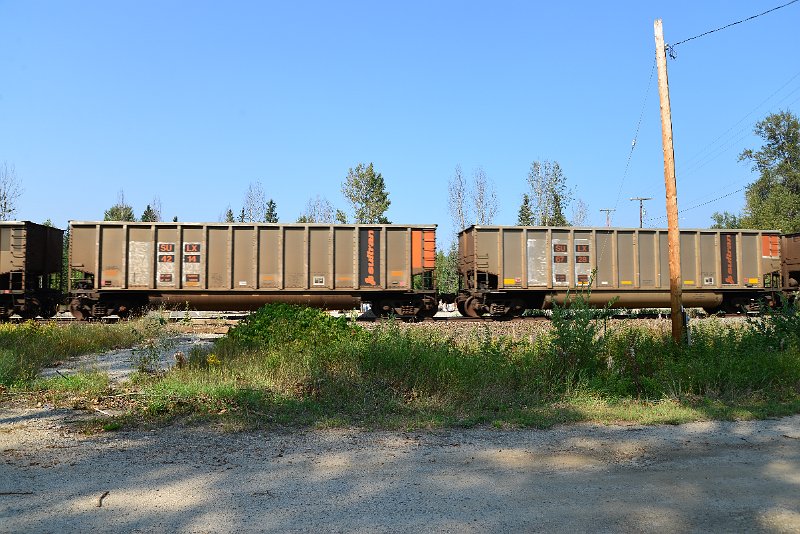 DSC_7998.JPG