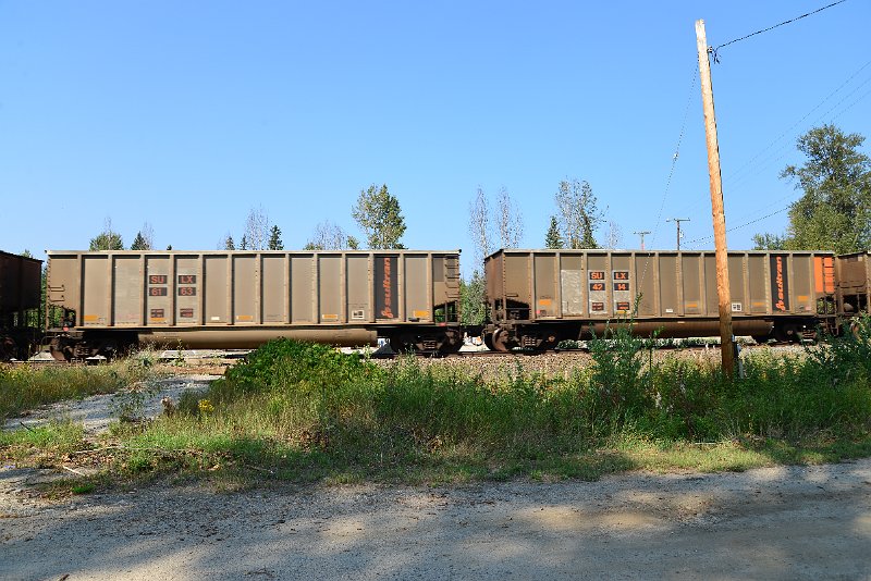 DSC_7999.JPG