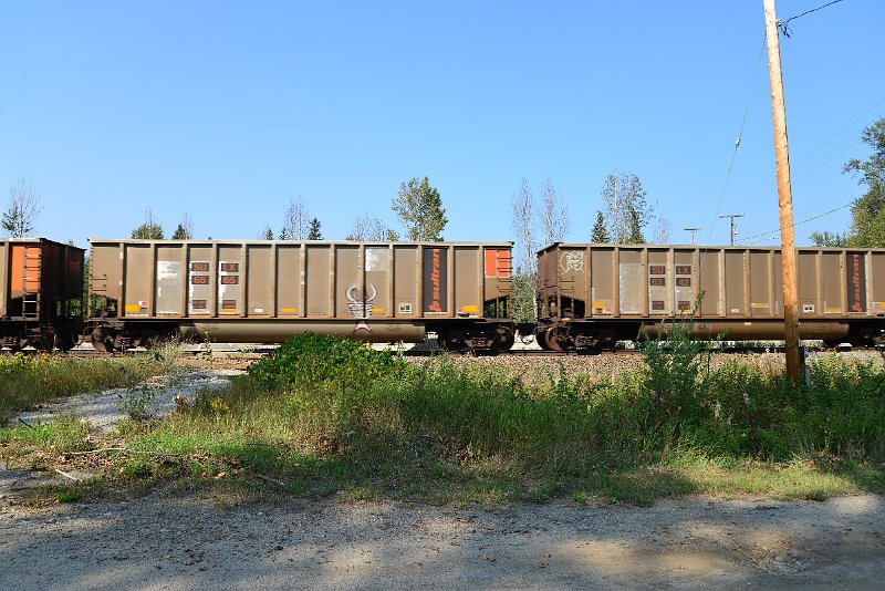 DSC_8001.JPG