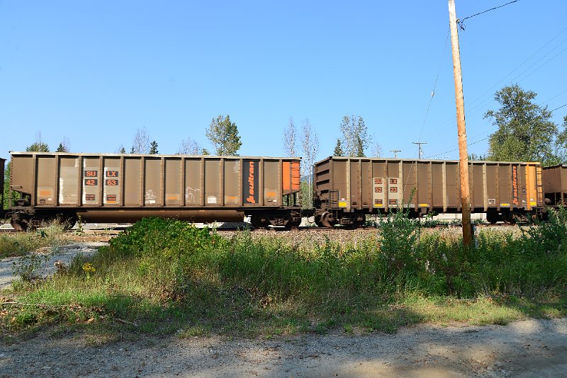 DSC_8006.JPG