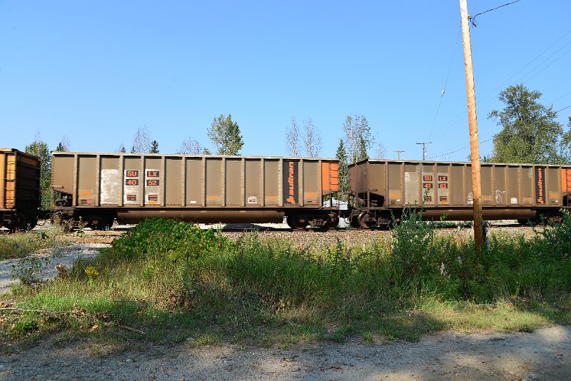 DSC_8007.JPG