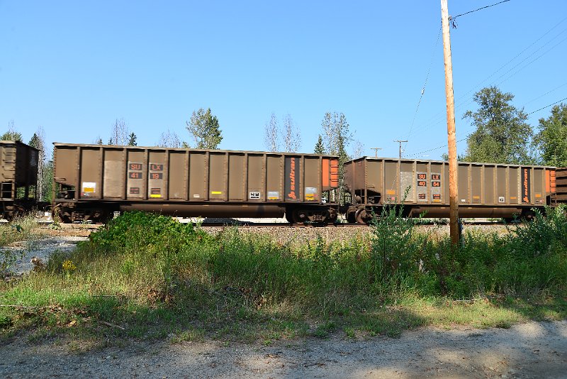 DSC_8010.JPG