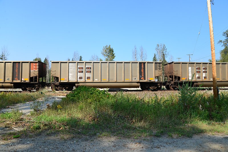 DSC_8020.JPG