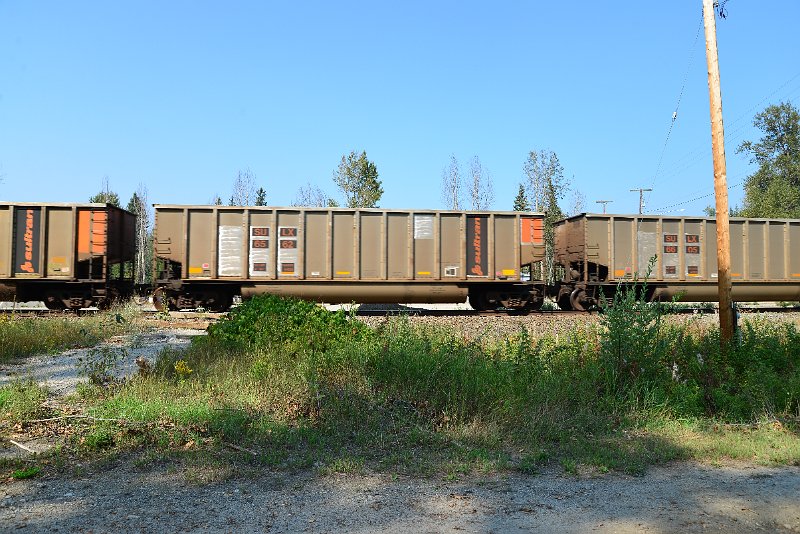 DSC_8028.JPG