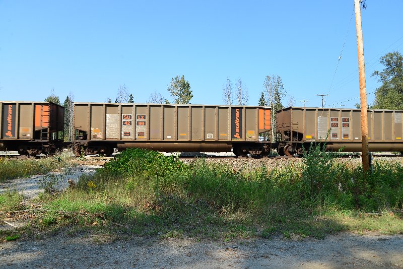 DSC_8029.JPG