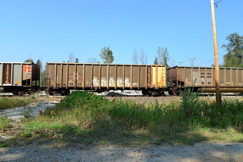 DSC_8038.JPG