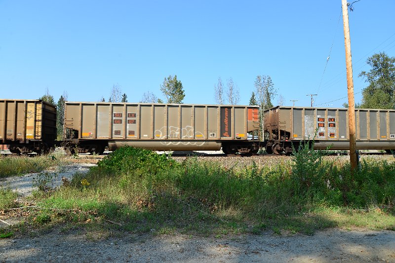 DSC_8040.JPG
