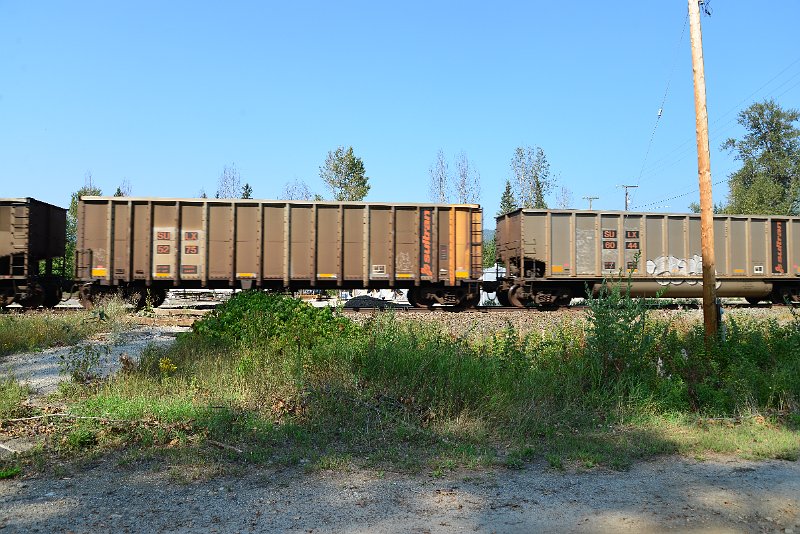 DSC_8050.JPG