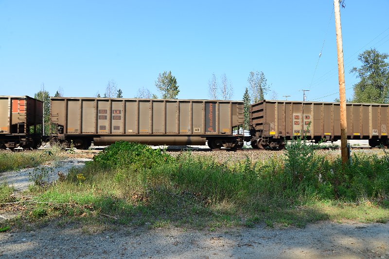 DSC_8051.JPG