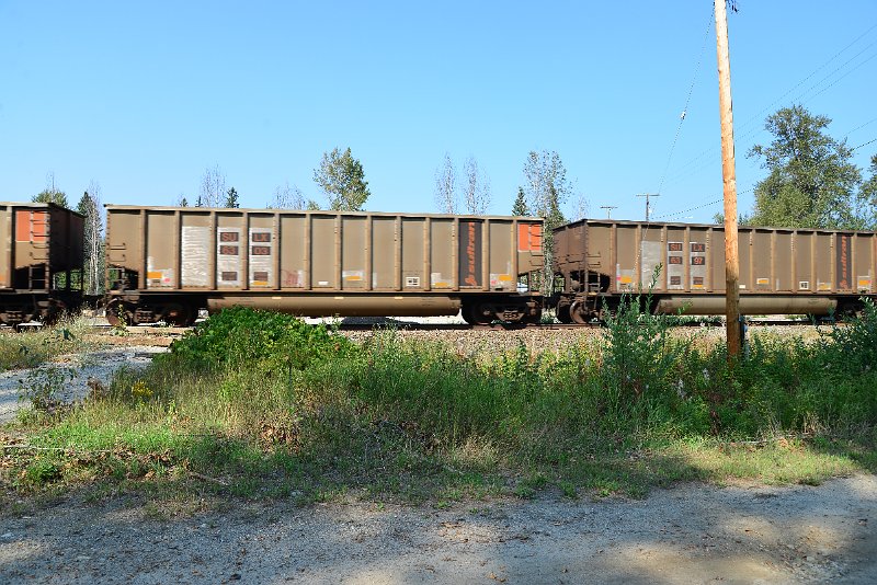 DSC_8077.JPG