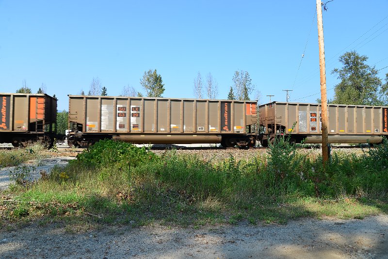 DSC_8081.JPG