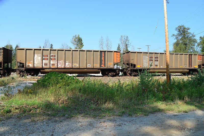 DSC_8088.JPG