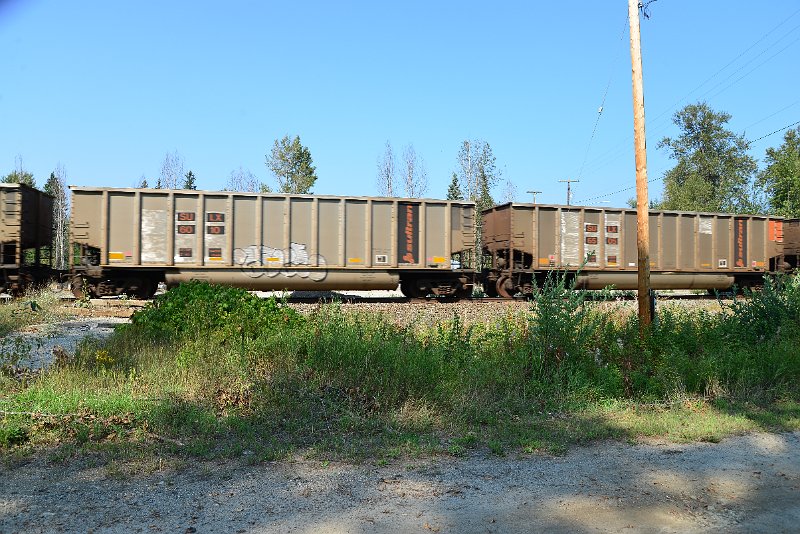 DSC_8101.JPG