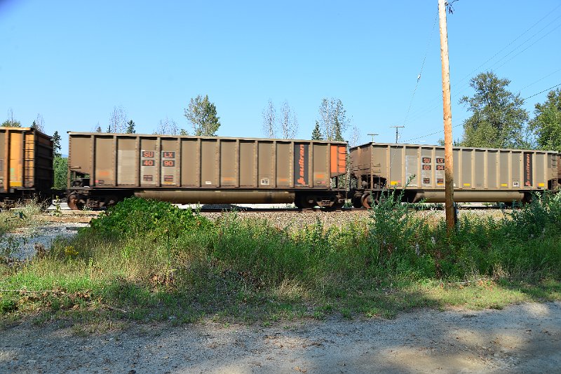 DSC_8103.JPG