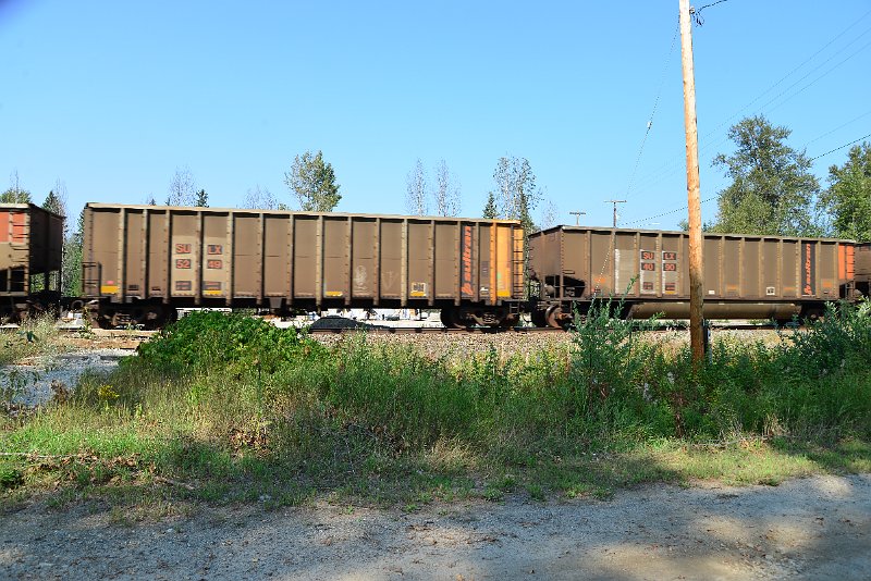 DSC_8104.JPG