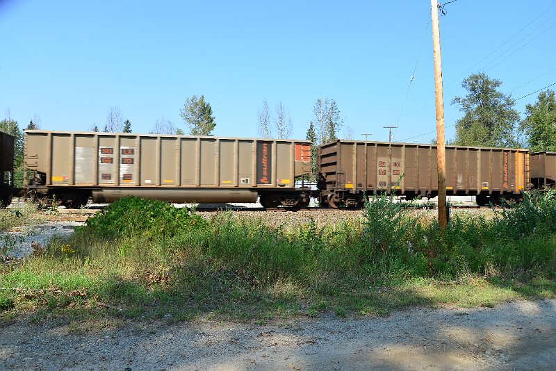 DSC_8105.JPG
