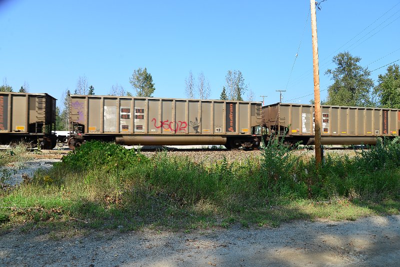 DSC_8106.JPG