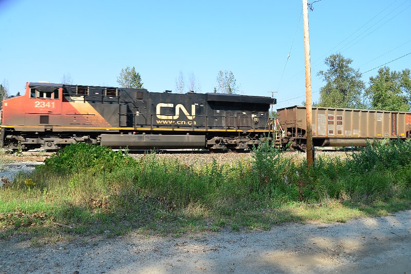 DSC_8113.JPG