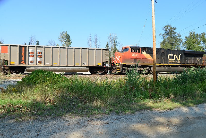 DSC_8114.JPG