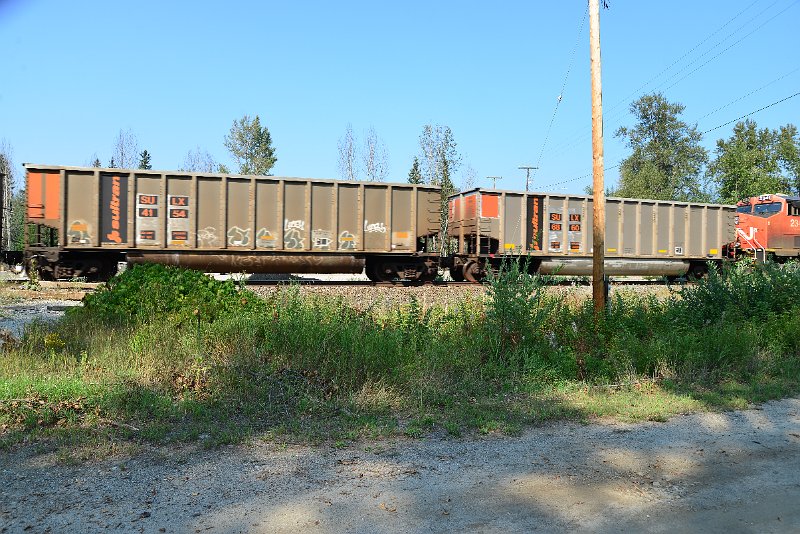 DSC_8115.JPG