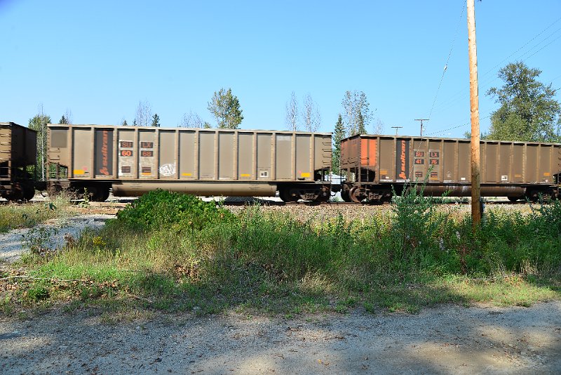 DSC_8118.JPG
