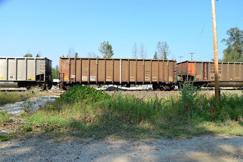 DSC_8120.JPG