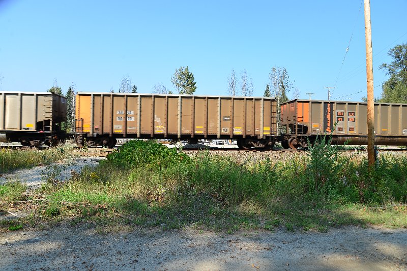DSC_8123.JPG