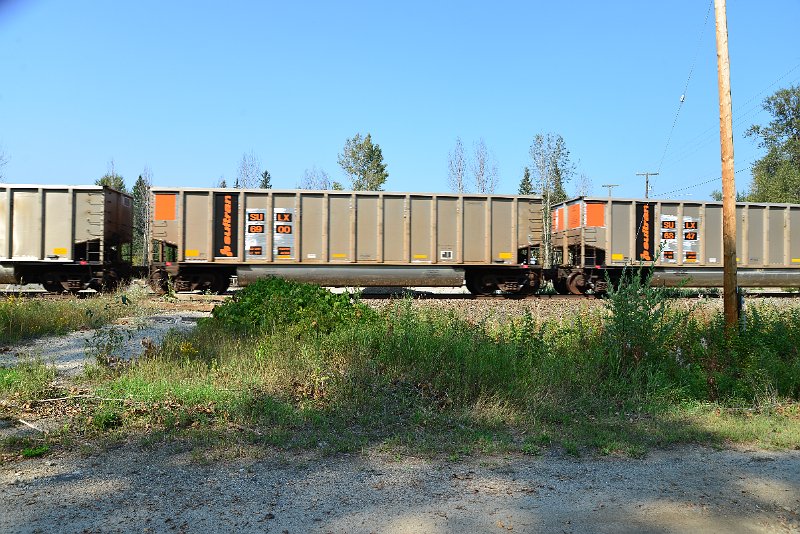 DSC_8125.JPG