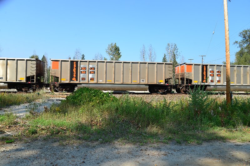 DSC_8127.JPG