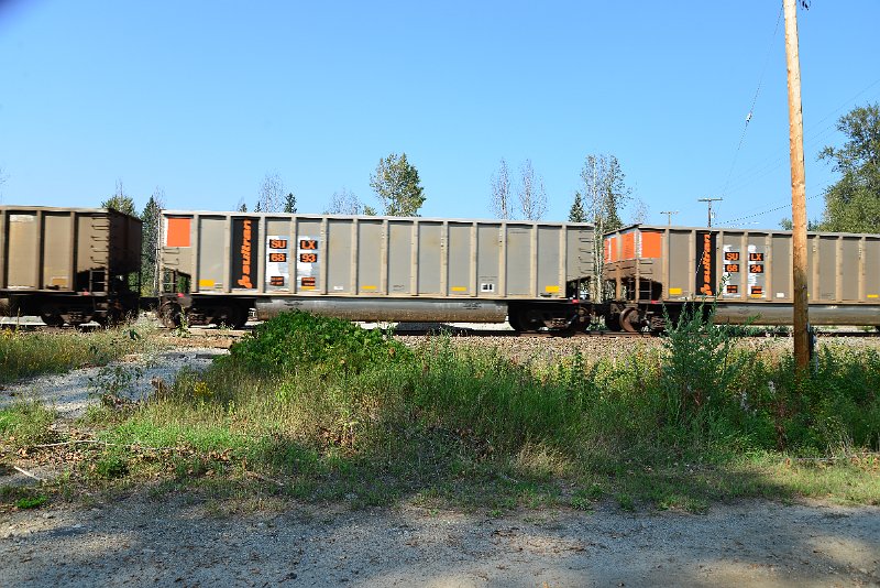 DSC_8128.JPG