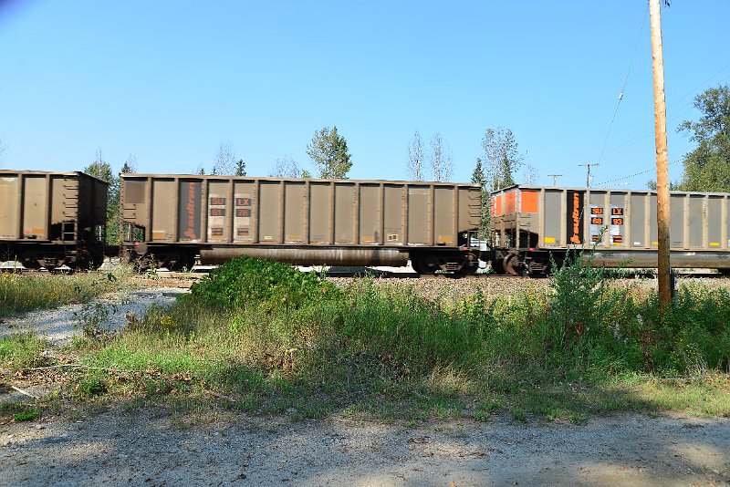 DSC_8129.JPG
