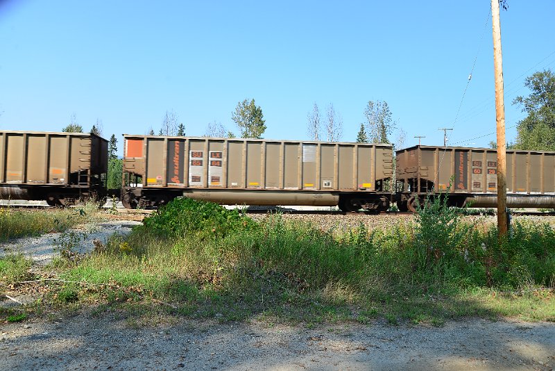 DSC_8131.JPG