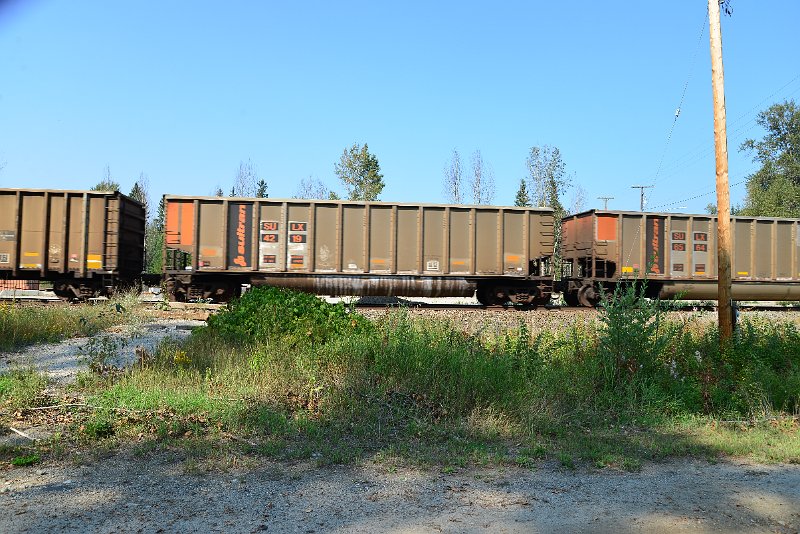 DSC_8132.JPG