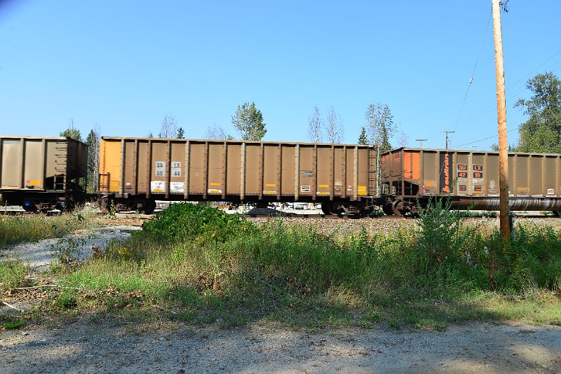 DSC_8133.JPG