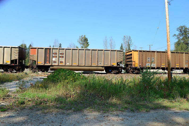 DSC_8134.JPG