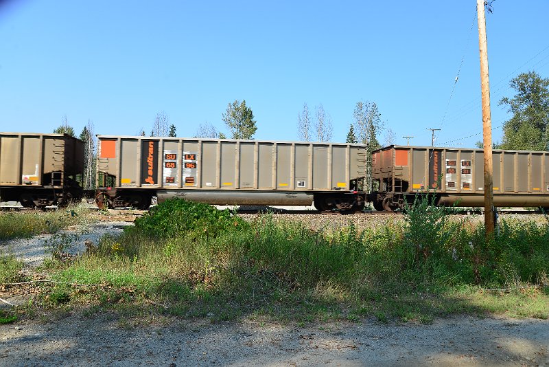 DSC_8135.JPG